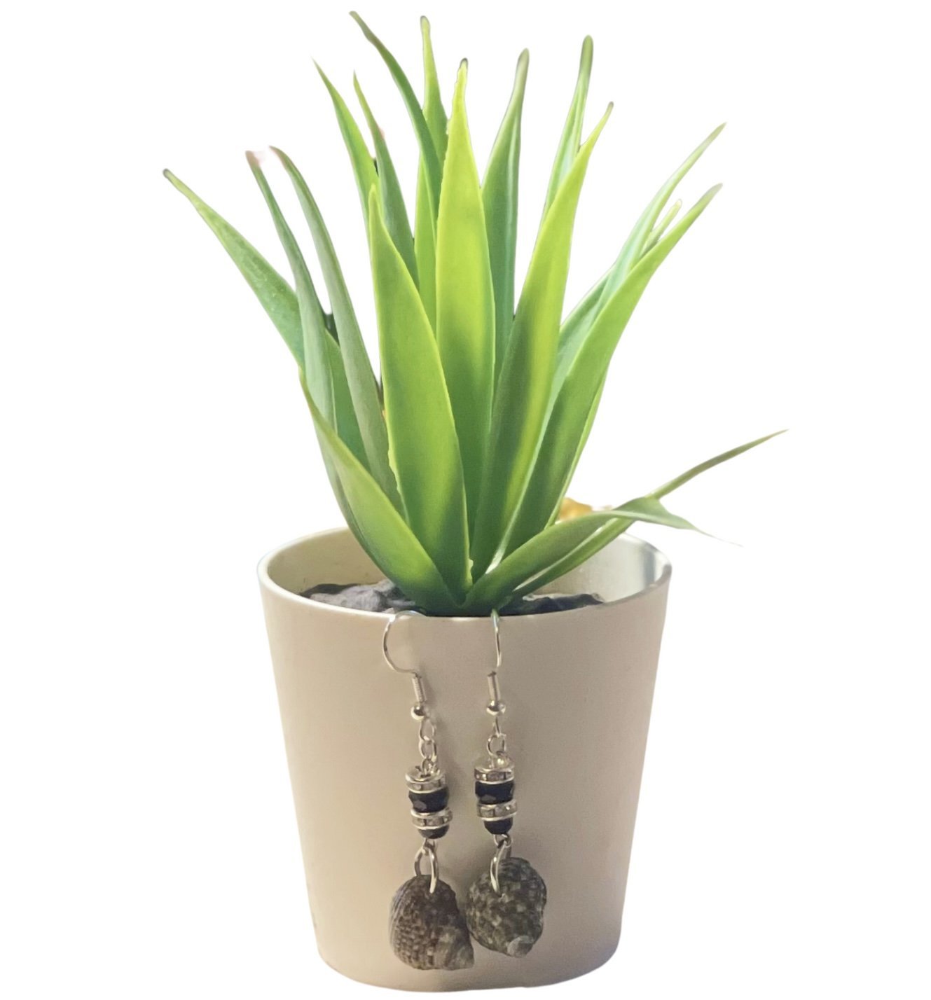 Conch Shells - E-monaejewels "LLC"