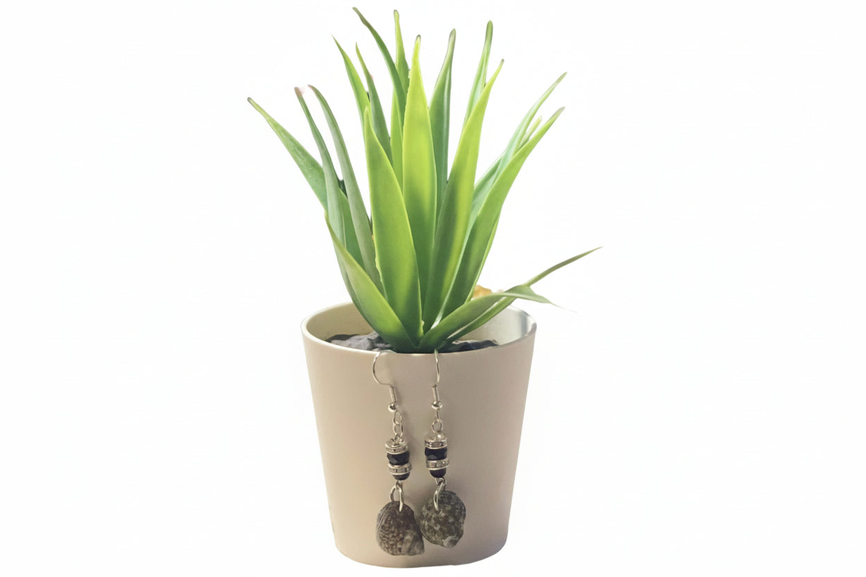 Conch Shells - E-monaejewels "LLC"