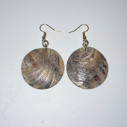 Coastal Shell Hook Earrings
