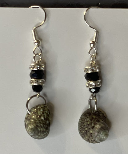 Conch Shells - E-monaejewels "LLC"