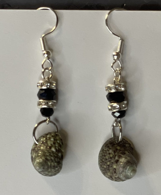 Conch Shells - E-monaejewels "LLC"